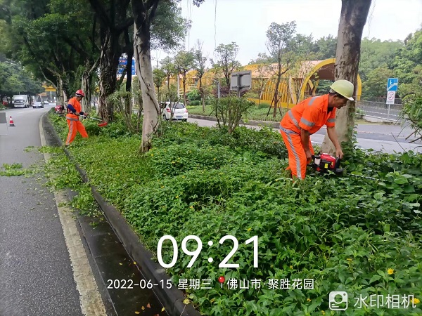 項目動態(tài) | 打造美麗鳳城，筑文明城市生態(tài)