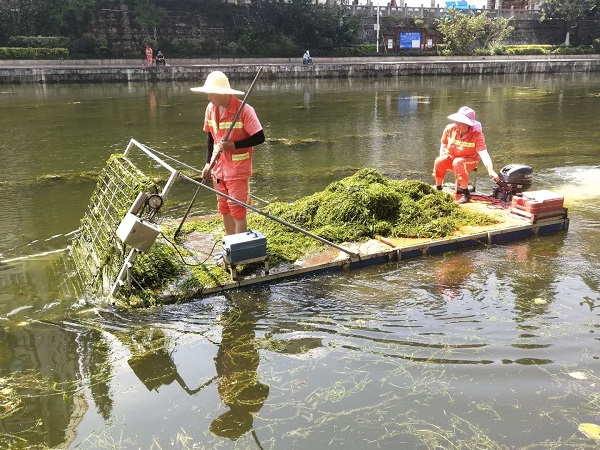 河道綠植管理養(yǎng)護(hù)的服務(wù)范圍